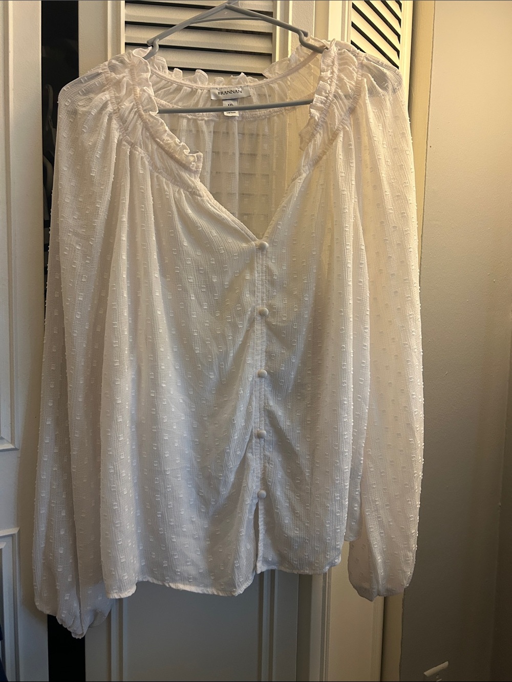 Banana Republic Ivory Swiss-Dot Button Front Blouse